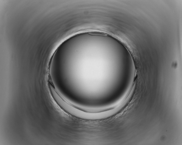 X0000097991524200804071138
