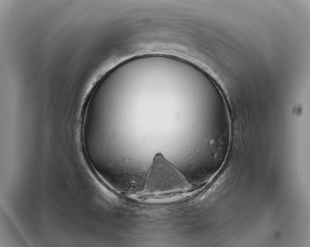 X0000097991525200804071138