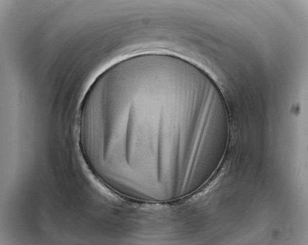 X0000097991526200804071138