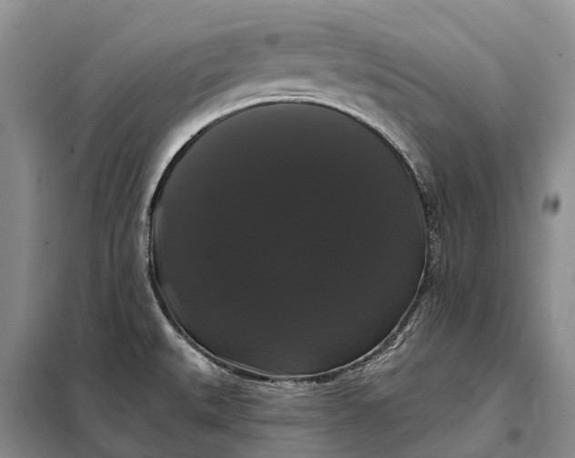 X0000097991527200804071138