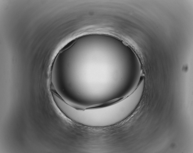 X0000097991528200804071138