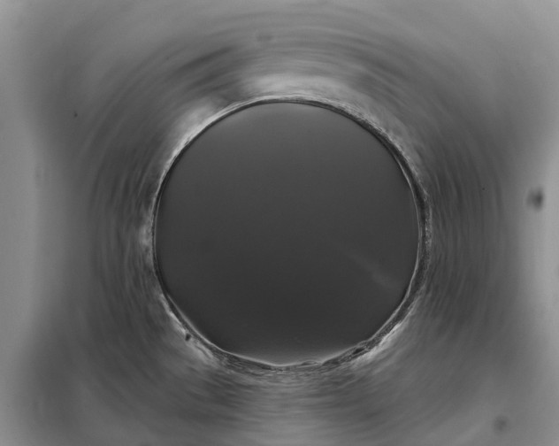 X0000097991529200804071138
