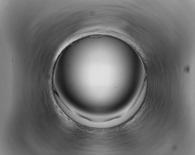 X0000097991530200804071138
