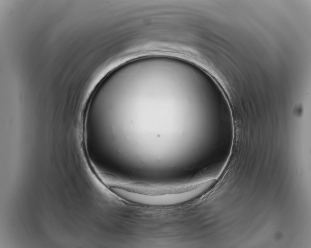 X0000097991531200804071138