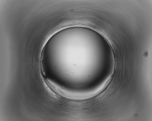 X0000097991532200804071138