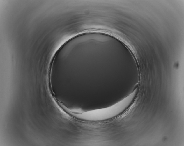 X0000097991533200804071138