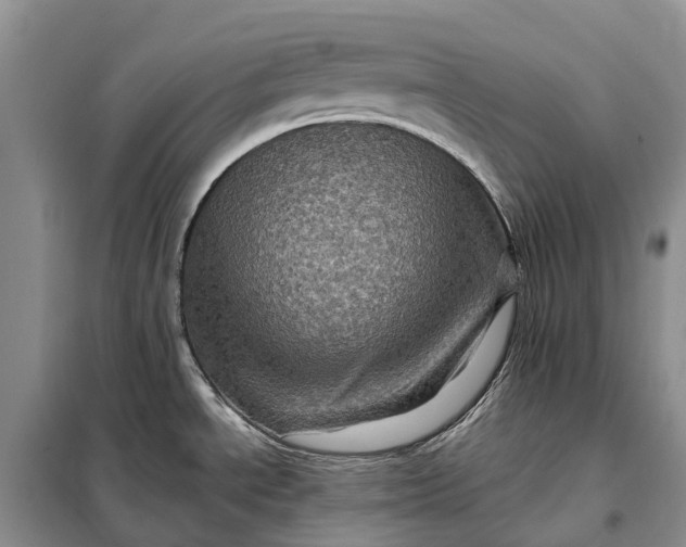 X0000097991534200804071138