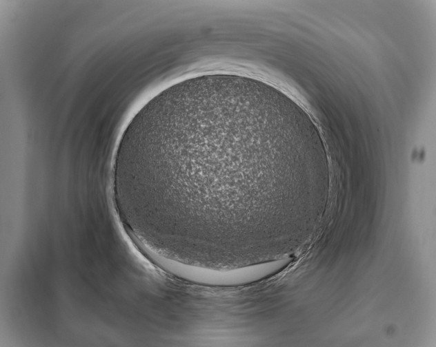 X0000097991536200804071138
