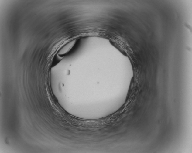 X0000097990001200804141153