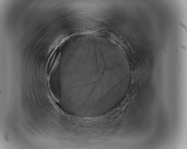 X0000097990002200804141153