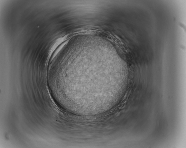 X0000097990003200804141153