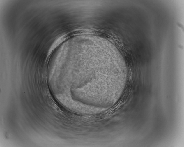 X0000097990004200804141153