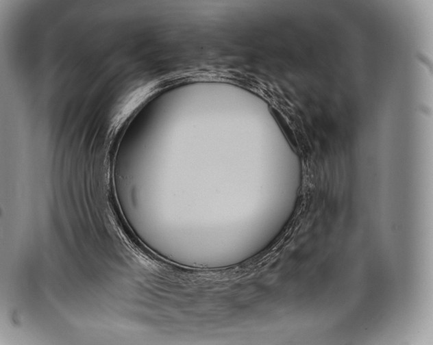 X0000097990005200804141153