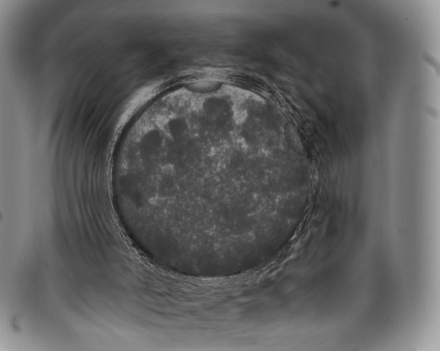 X0000097990006200804141153