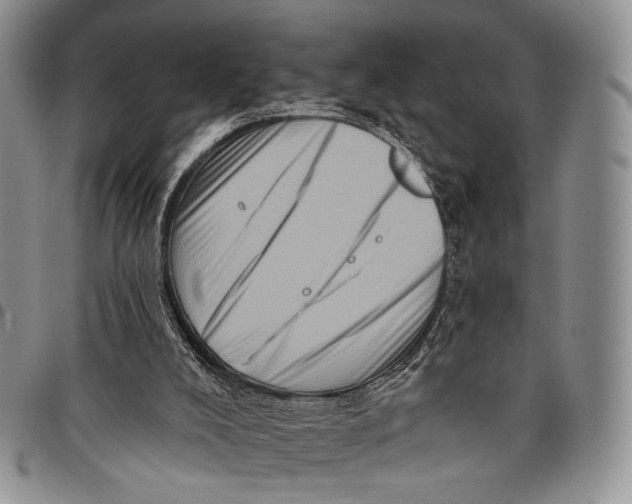 X0000097990008200804141153