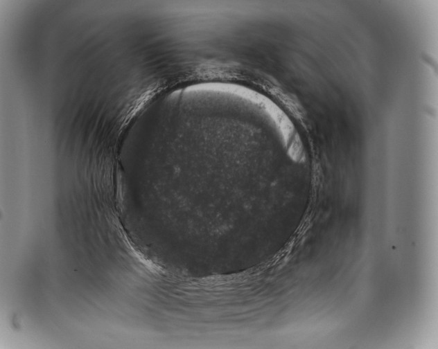 X0000097990009200804141153