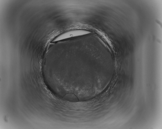 X0000097990010200804141153