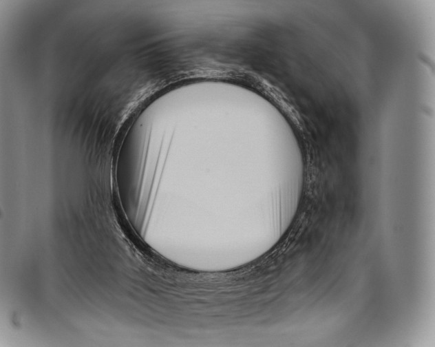 X0000097990011200804141153