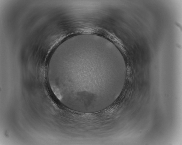 X0000097990012200804141153