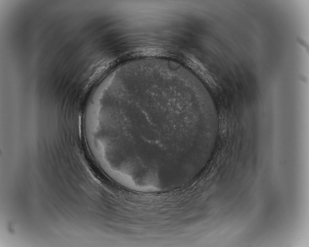 X0000097990014200804141153