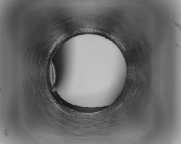 X0000097990015200804141153