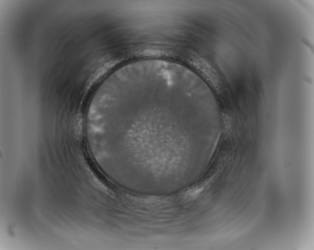 X0000097990016200804141153