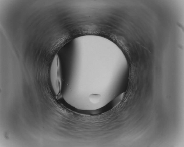 X0000097990017200804141153