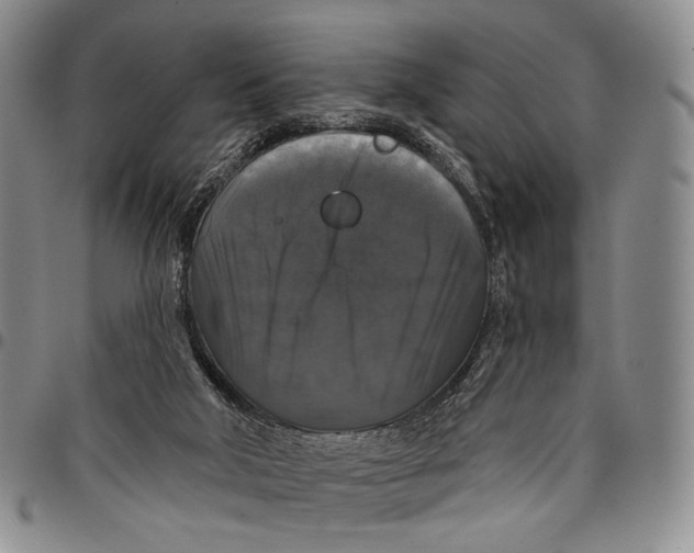 X0000097990018200804141153