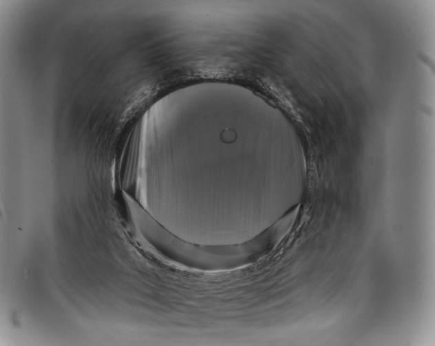 X0000097990019200804141153