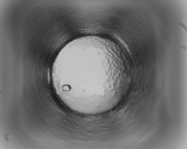 X0000097990020200804141153