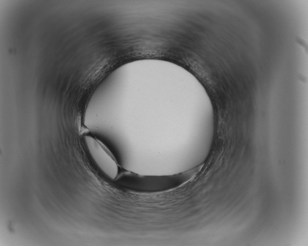 X0000097990021200804141153