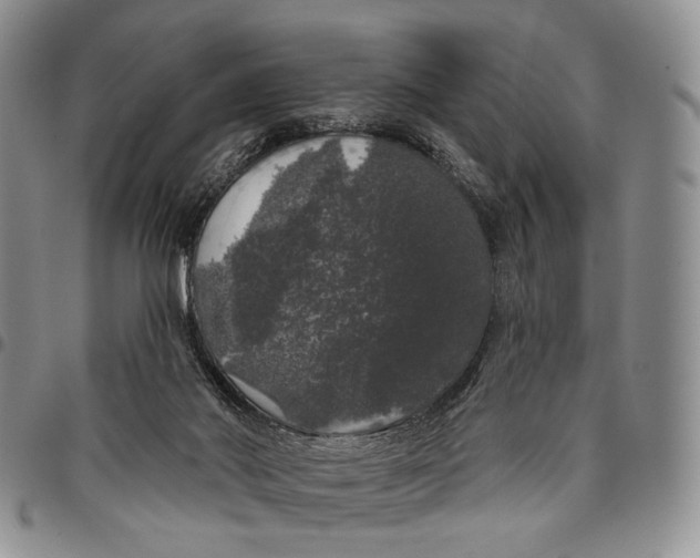 X0000097990022200804141153