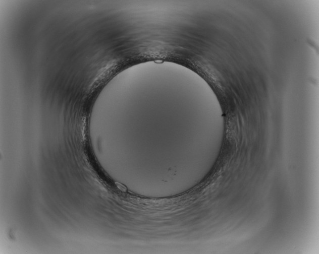 X0000097990023200804141153