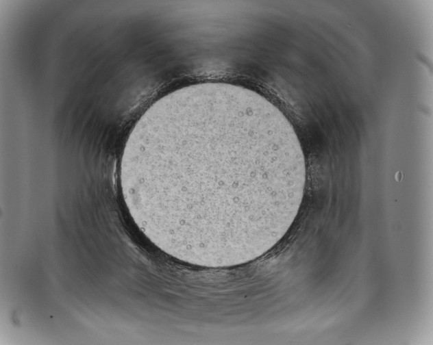 X0000097990024200804141153