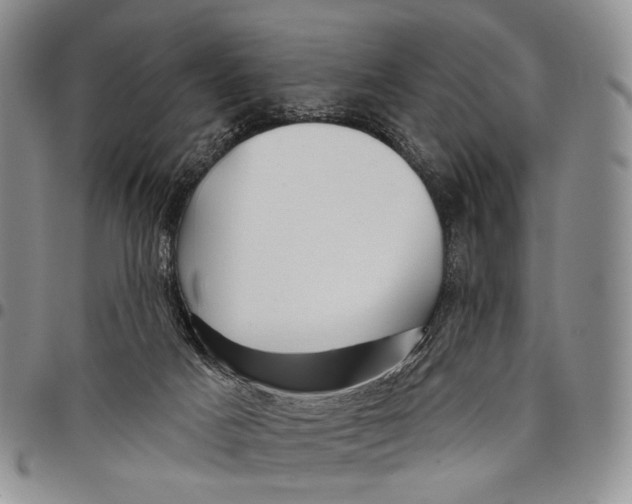 X0000097990025200804141153