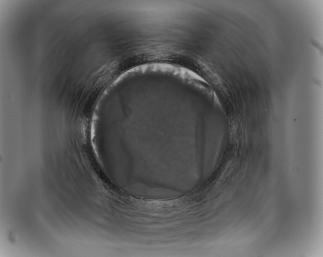 X0000097990026200804141153