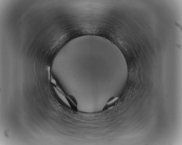 X0000097990027200804141153