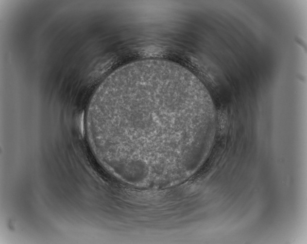 X0000097990028200804141153