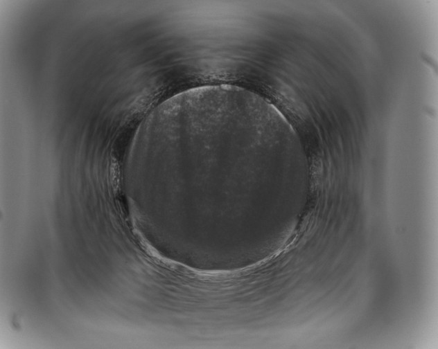 X0000097990029200804141153