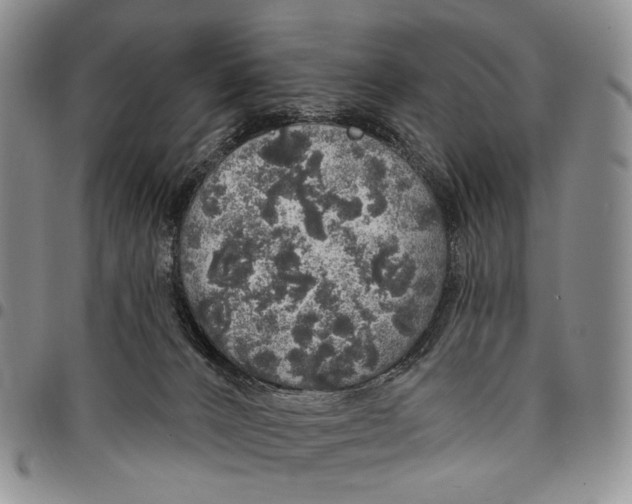 X0000097990032200804141153