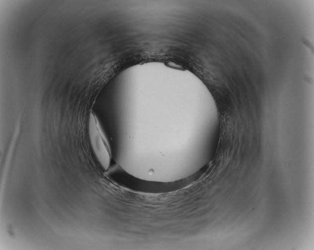 X0000097990033200804141153