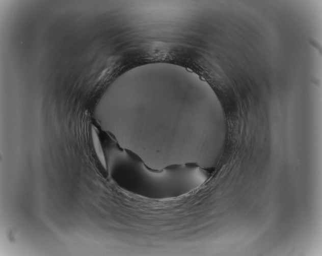 X0000097990035200804141153