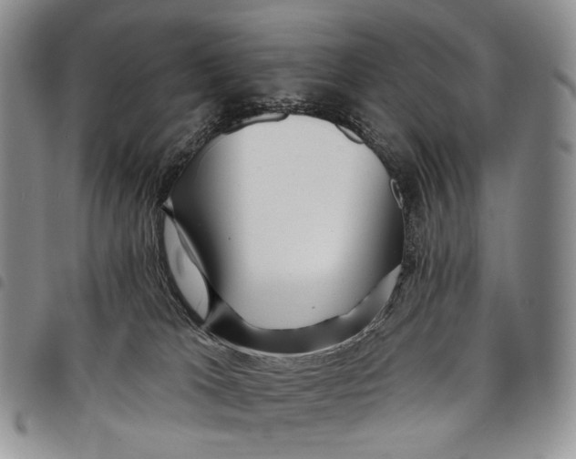 X0000097990037200804141153