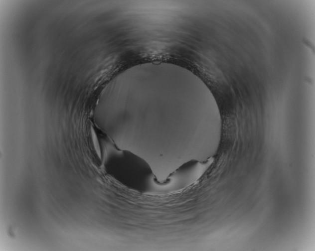 X0000097990039200804141153