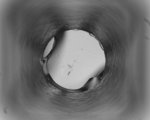 X0000097990041200804141153