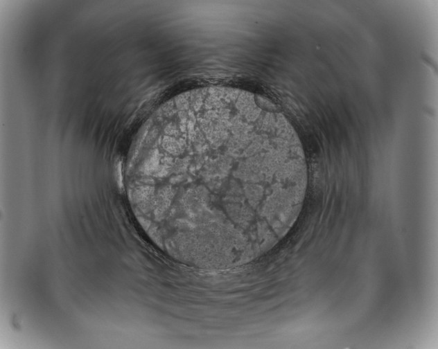 X0000097990042200804141153