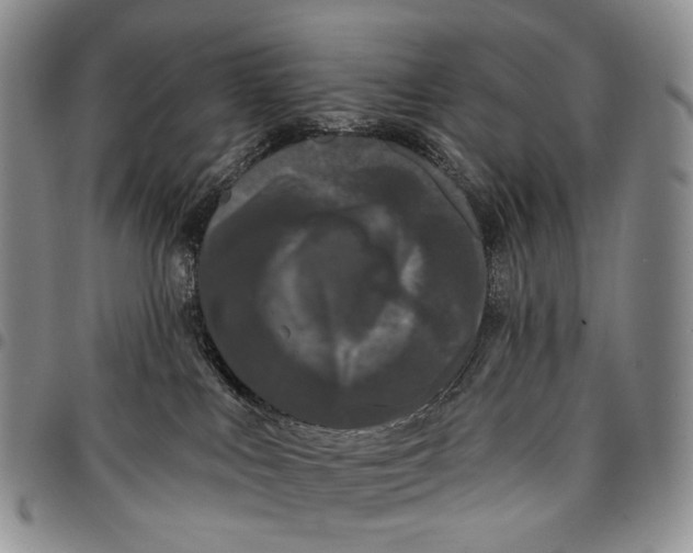 X0000097990043200804141153