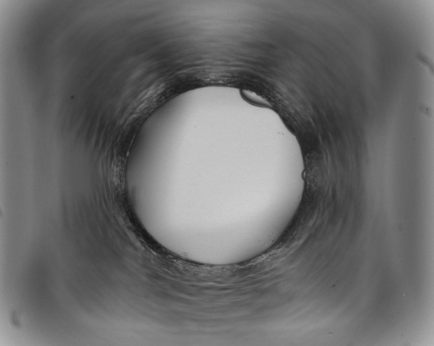 X0000097990044200804141153