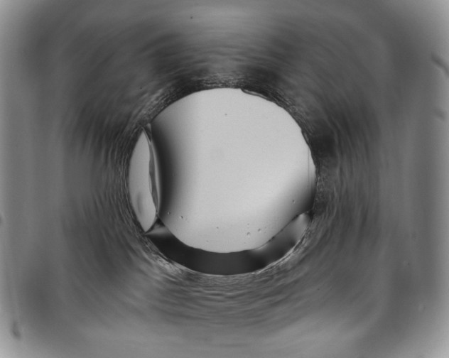 X0000097990045200804141153