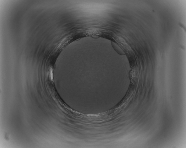 X0000097990046200804141153